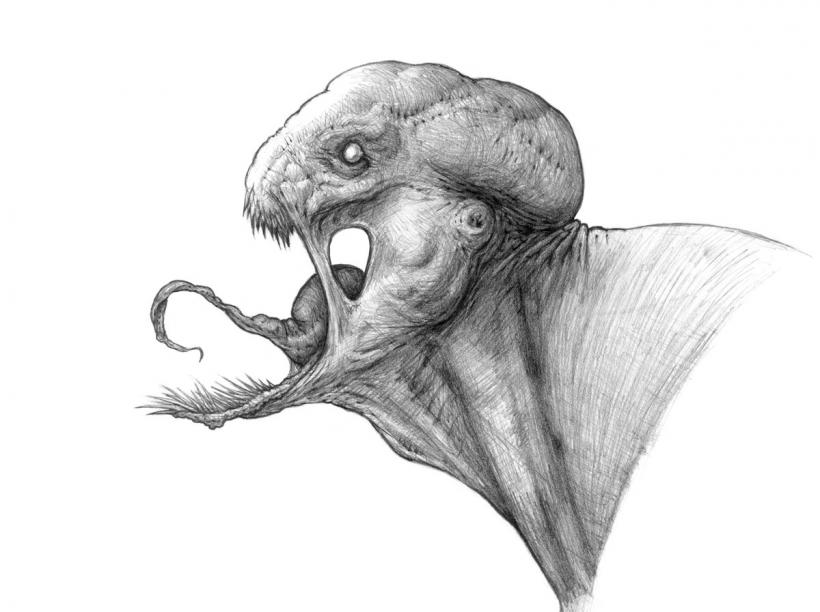 Random Monster head guy